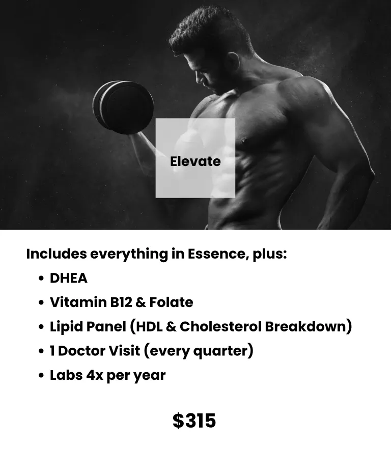 Elevate