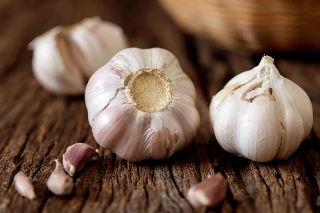 Garlic for ED 
