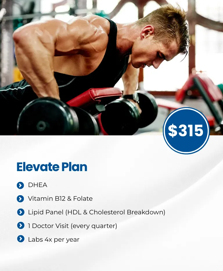 Elevate